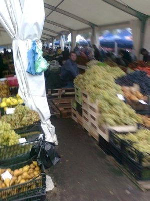 Imagini de la Sărbătoarea Recoltei şi Vinului Dobrogean